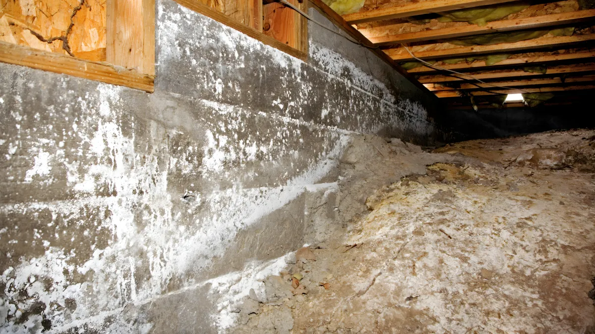 Sanford Structural Supporting