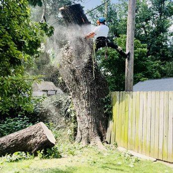 A bench sitting in the middle of a field