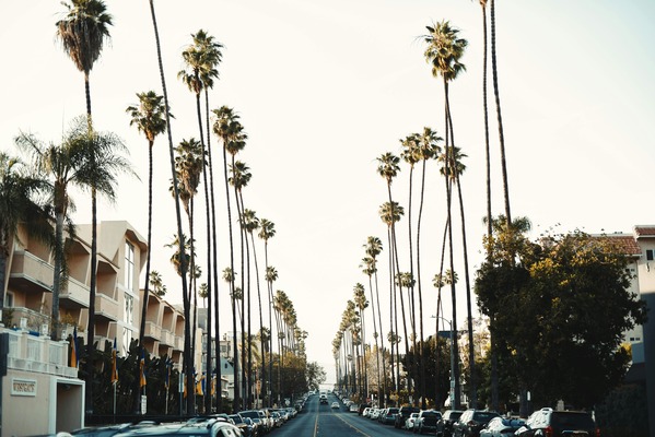 premium car rental in LAX