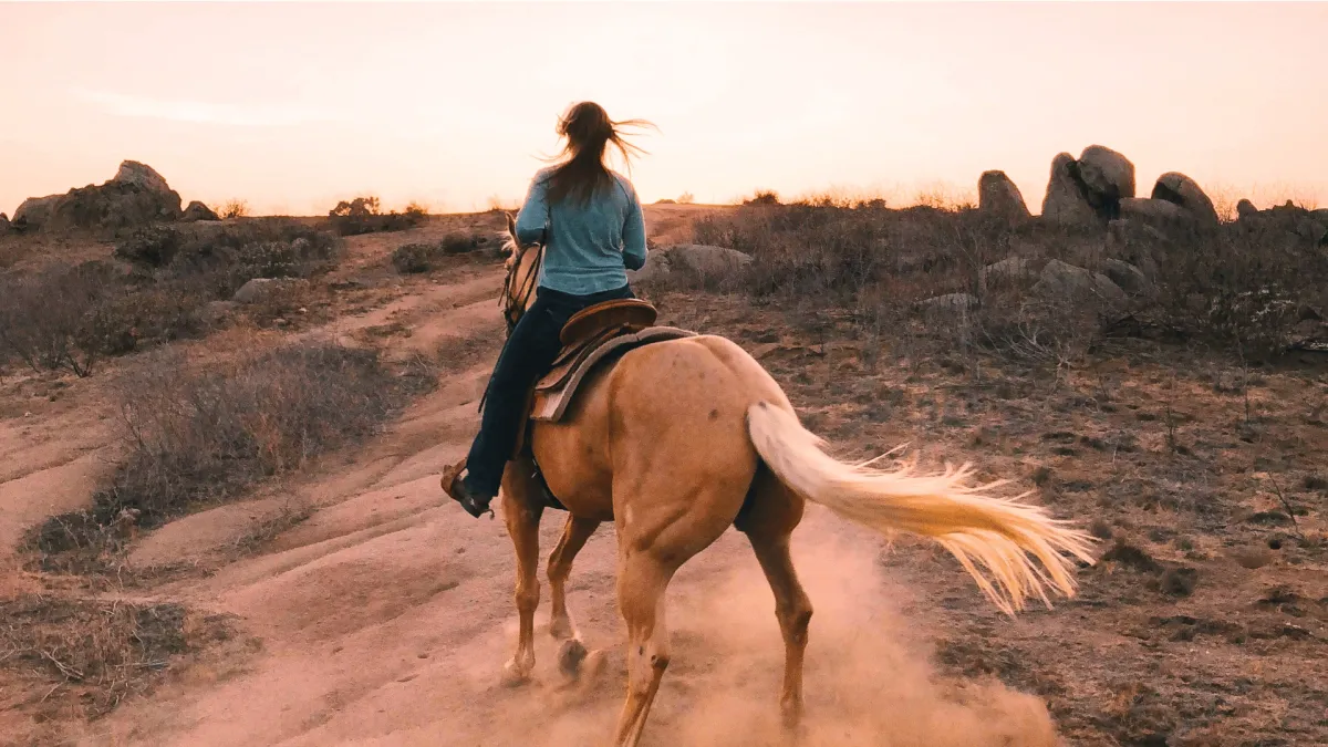 Woman on horse in Desert by Ivy Son