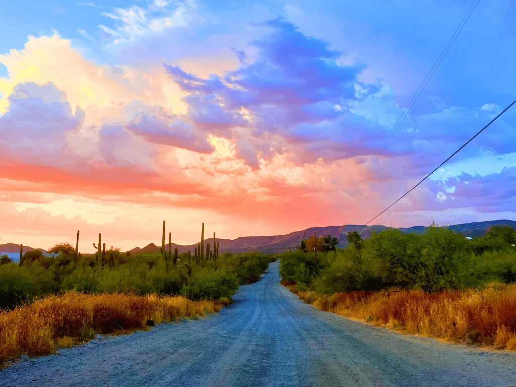 Arizona Desert Views