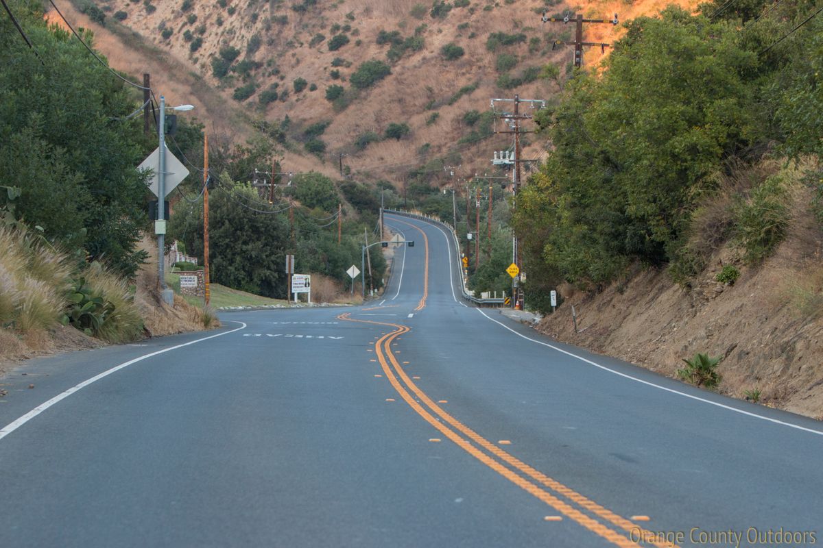 Children share umbrella while walking outdoors