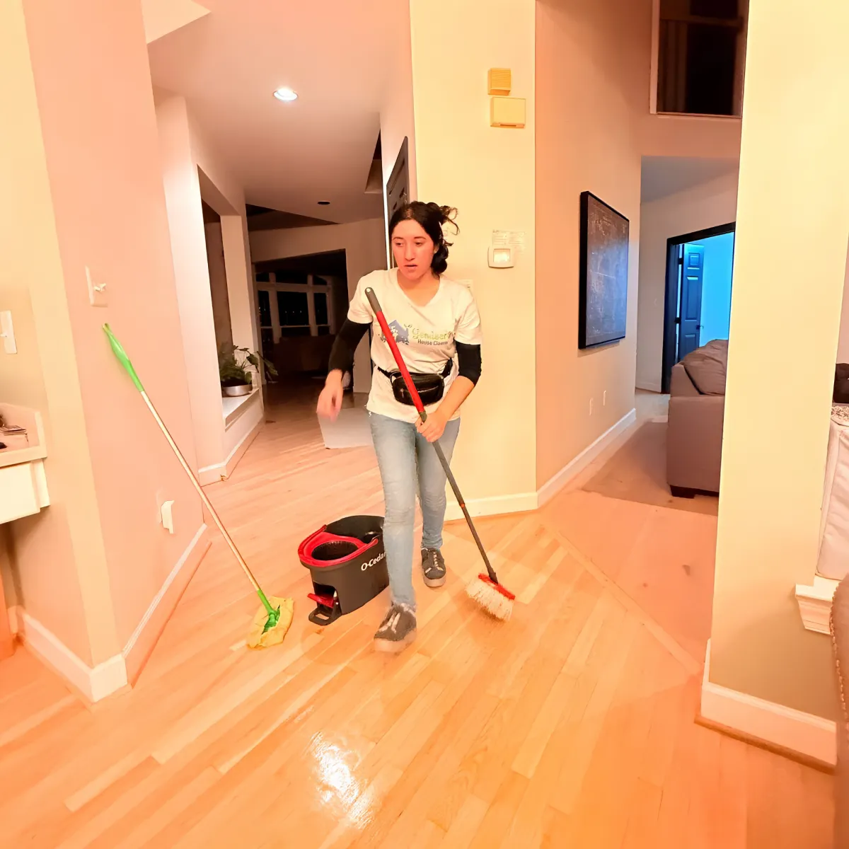 Recent local maid service project