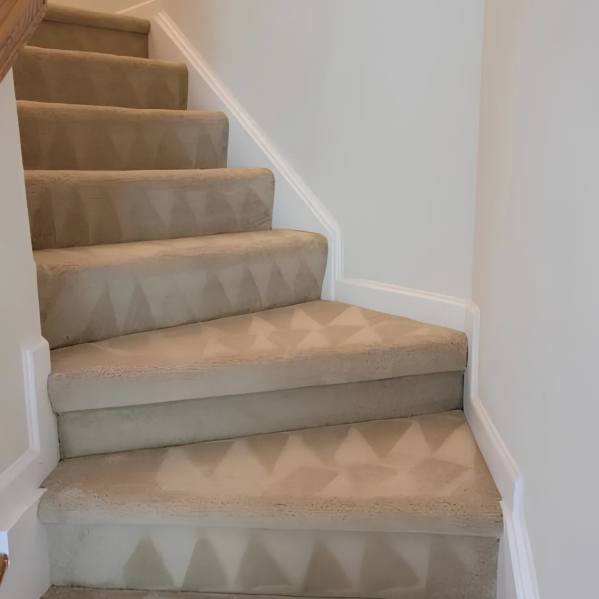 Clean, bright living space with freshly cleaned sofas and carpet