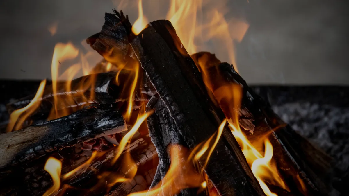 a view of a forest with tall buildings in the background