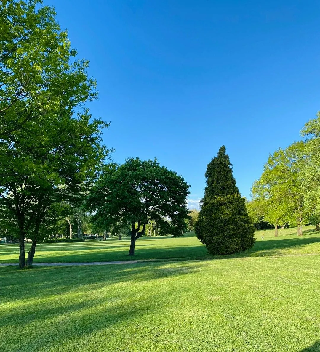 Lawn care