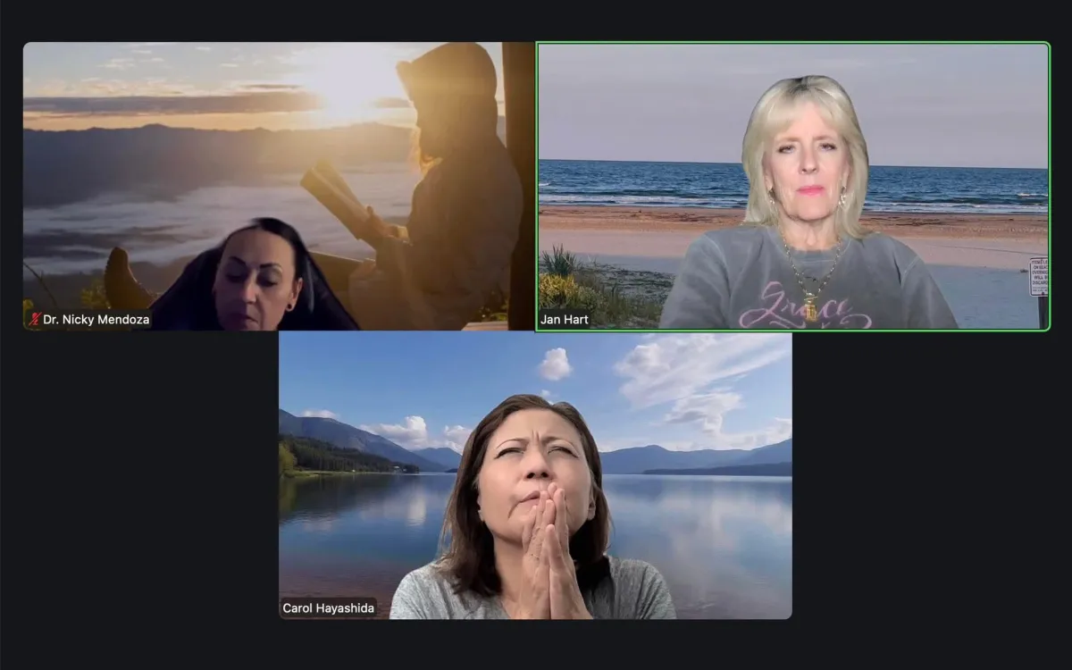 potted plant on window with curtain