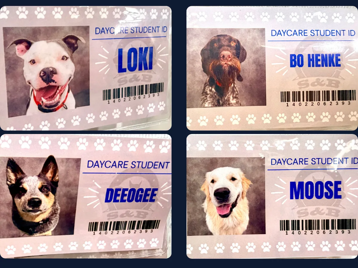 dog's ID