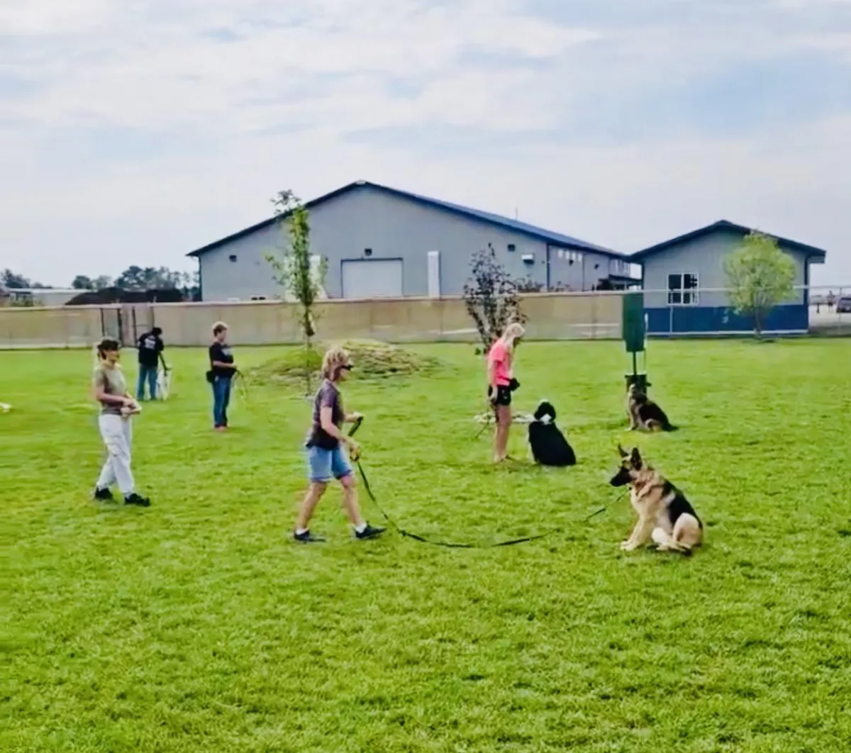 dogs and owners in training class