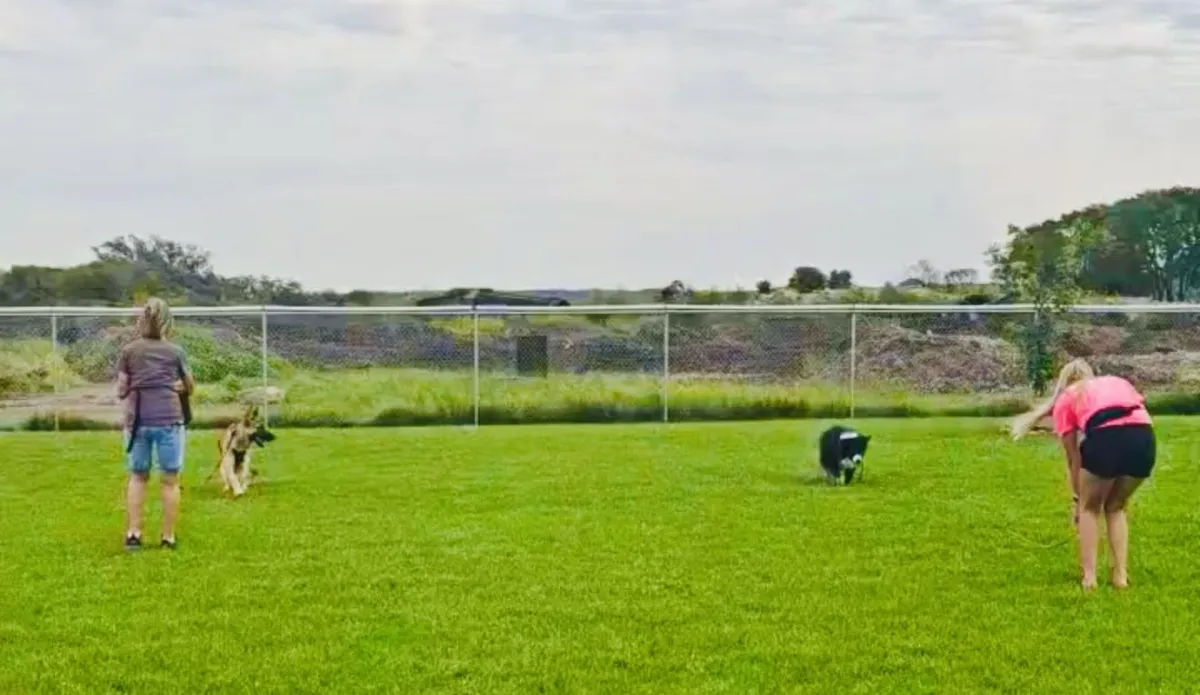 dog owners training in open area