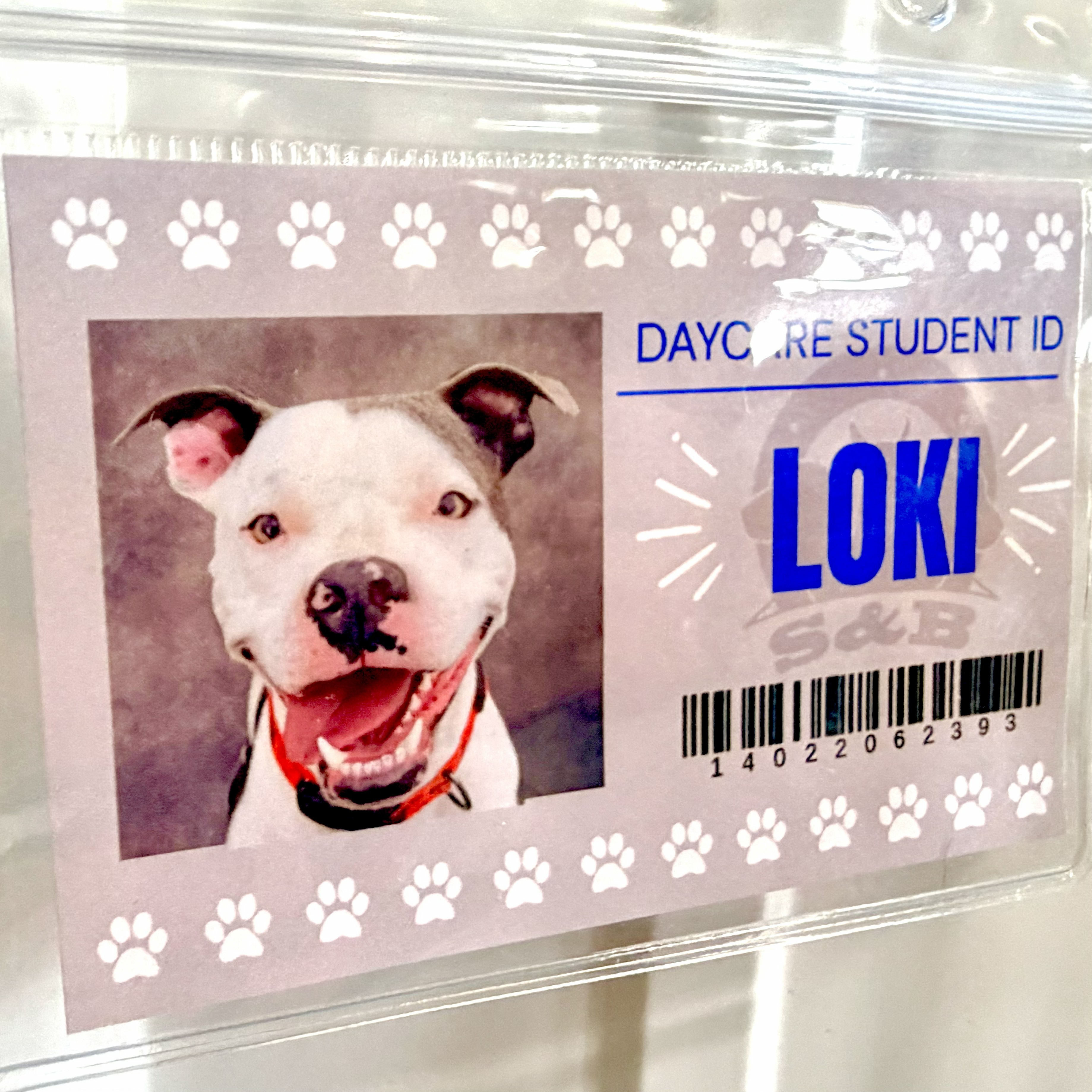dog's daycare ID