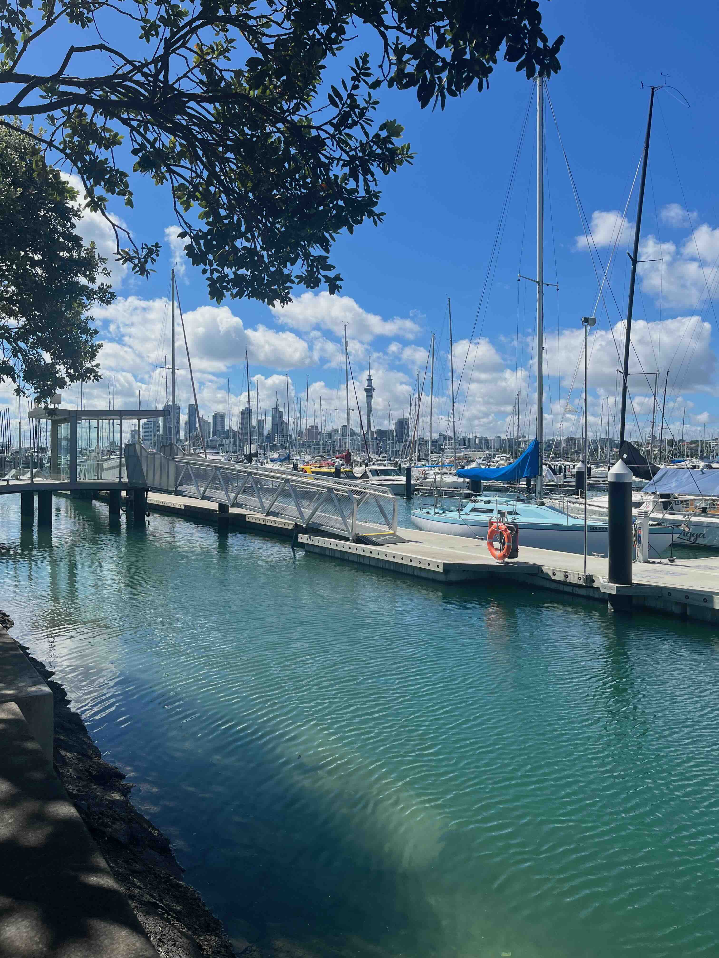 Solo Travel Over 50: Why Auckland Deserves More Than Your Layover