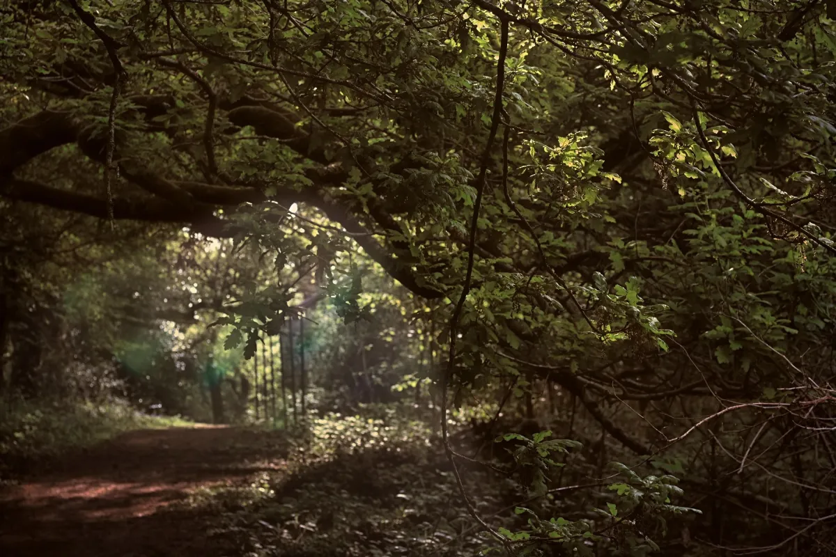 Guests relaxing in a serene retreat space