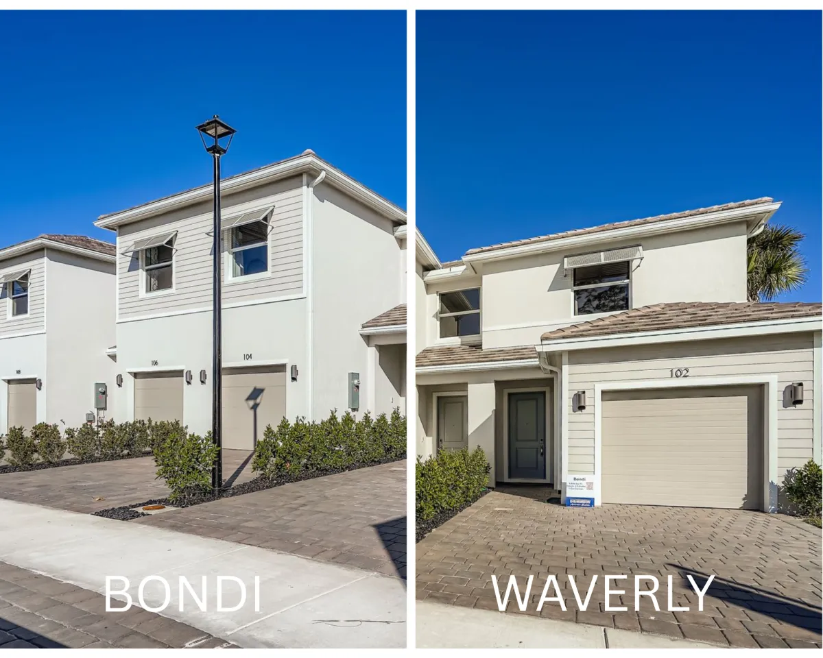 BONDI VS WAVERLY IMAGE