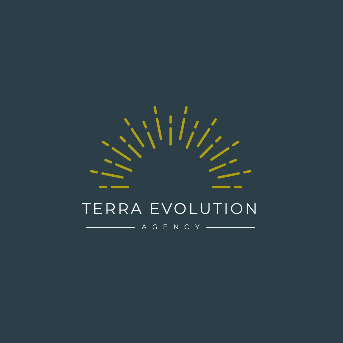 https://terra-evolution.fr/