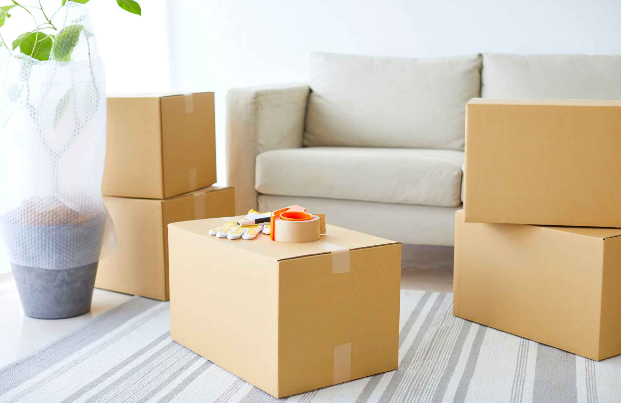 shannon's-organizing-solutions-sedona-az-home-organizing-before-a-move-moving-boxes-packed-in-living-room-by-sofa-effortless