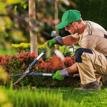 Dental & Teeth Whitening