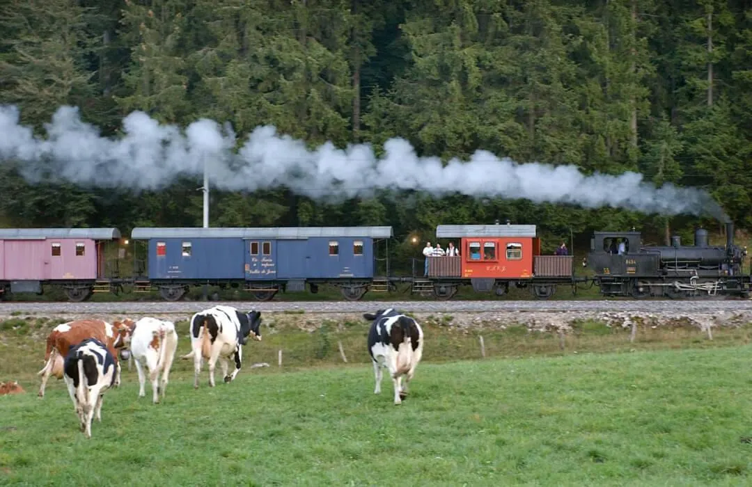 Historic steam train passing through the green fields of Vallée de Joux