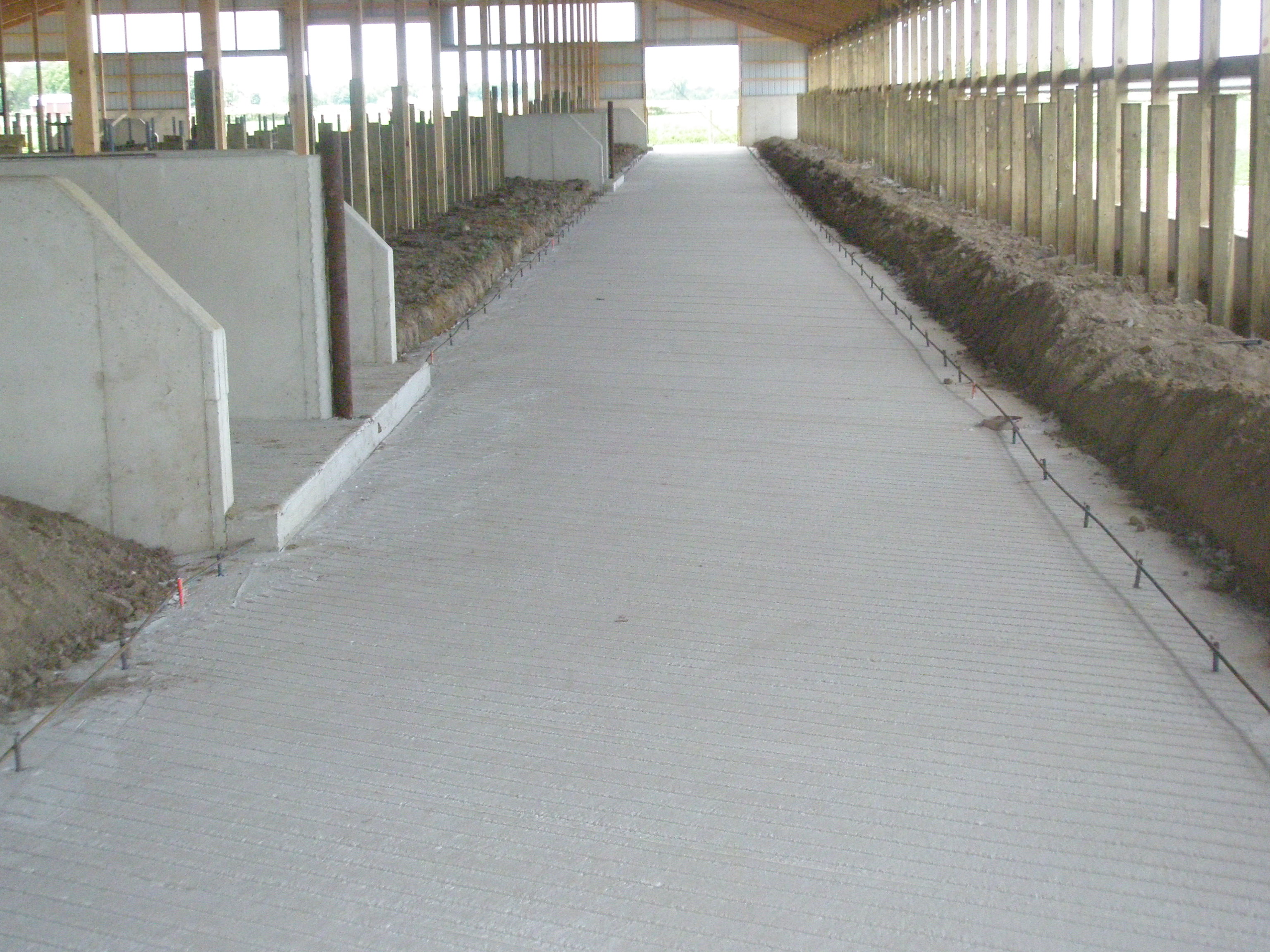 Barn concrete flooring