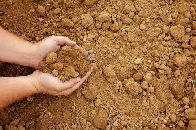 Screened topsoil for landscape and seeding projects