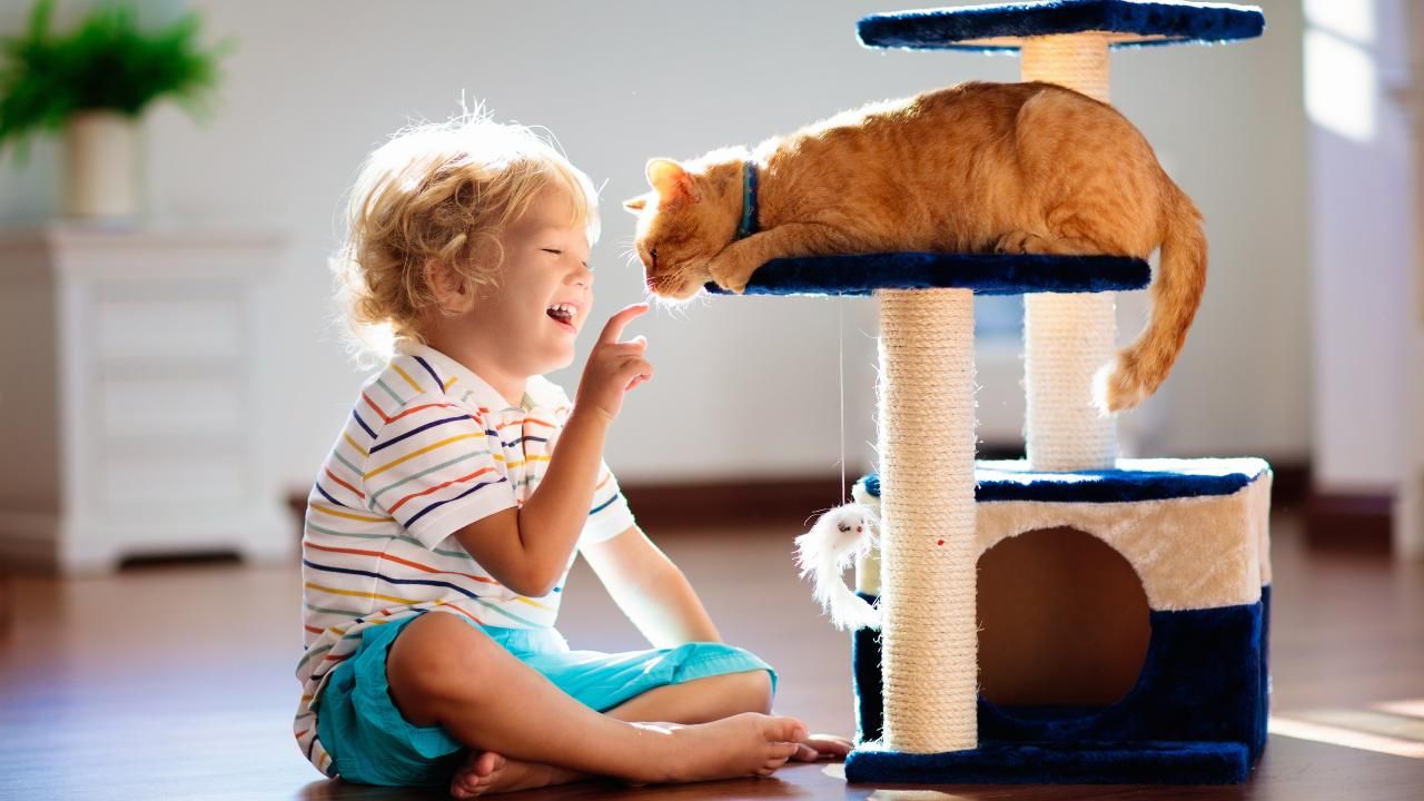 Interior Painting with Kids or Pets at Home: What You Should Know