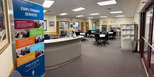 blue solar panel boards