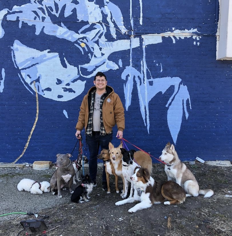 The Pack Portal Blog