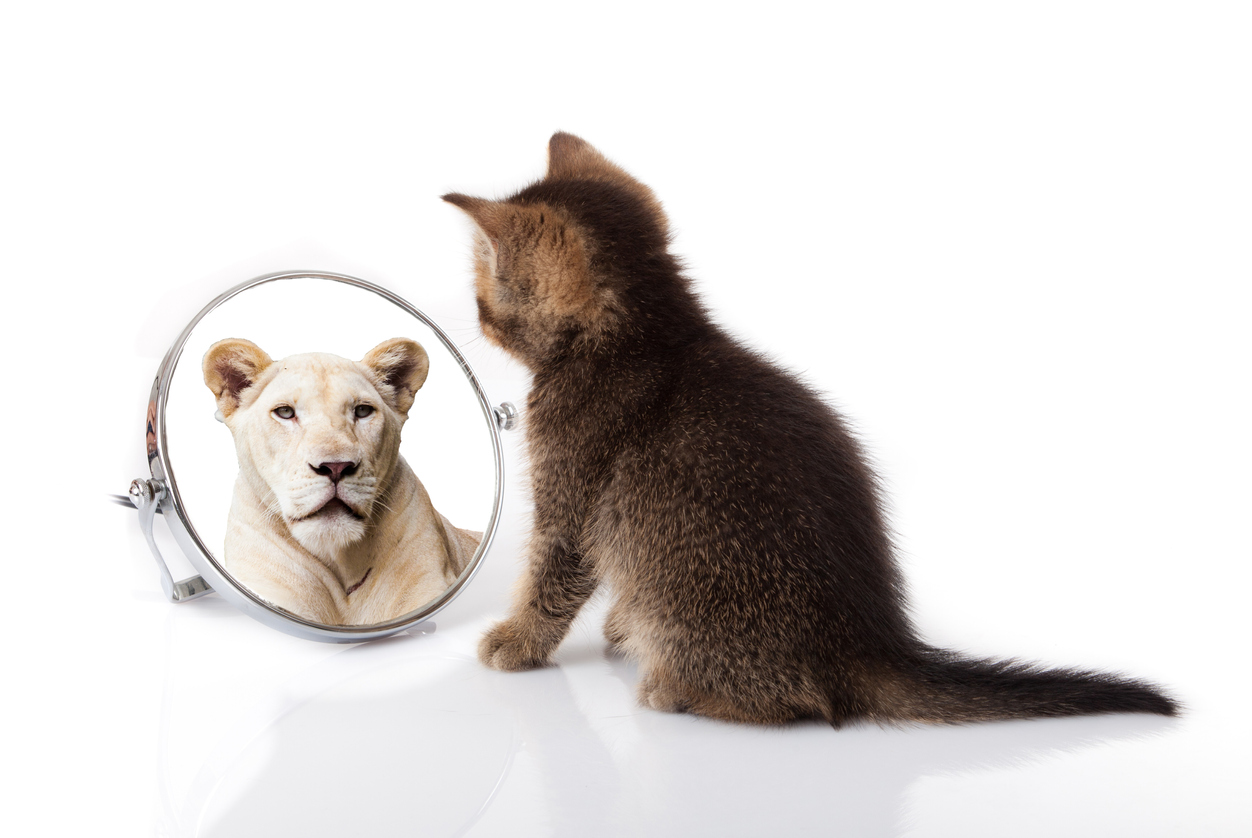 Who Told You That Was True? How Other People's Labels Become Your Identity (And How To Change It)