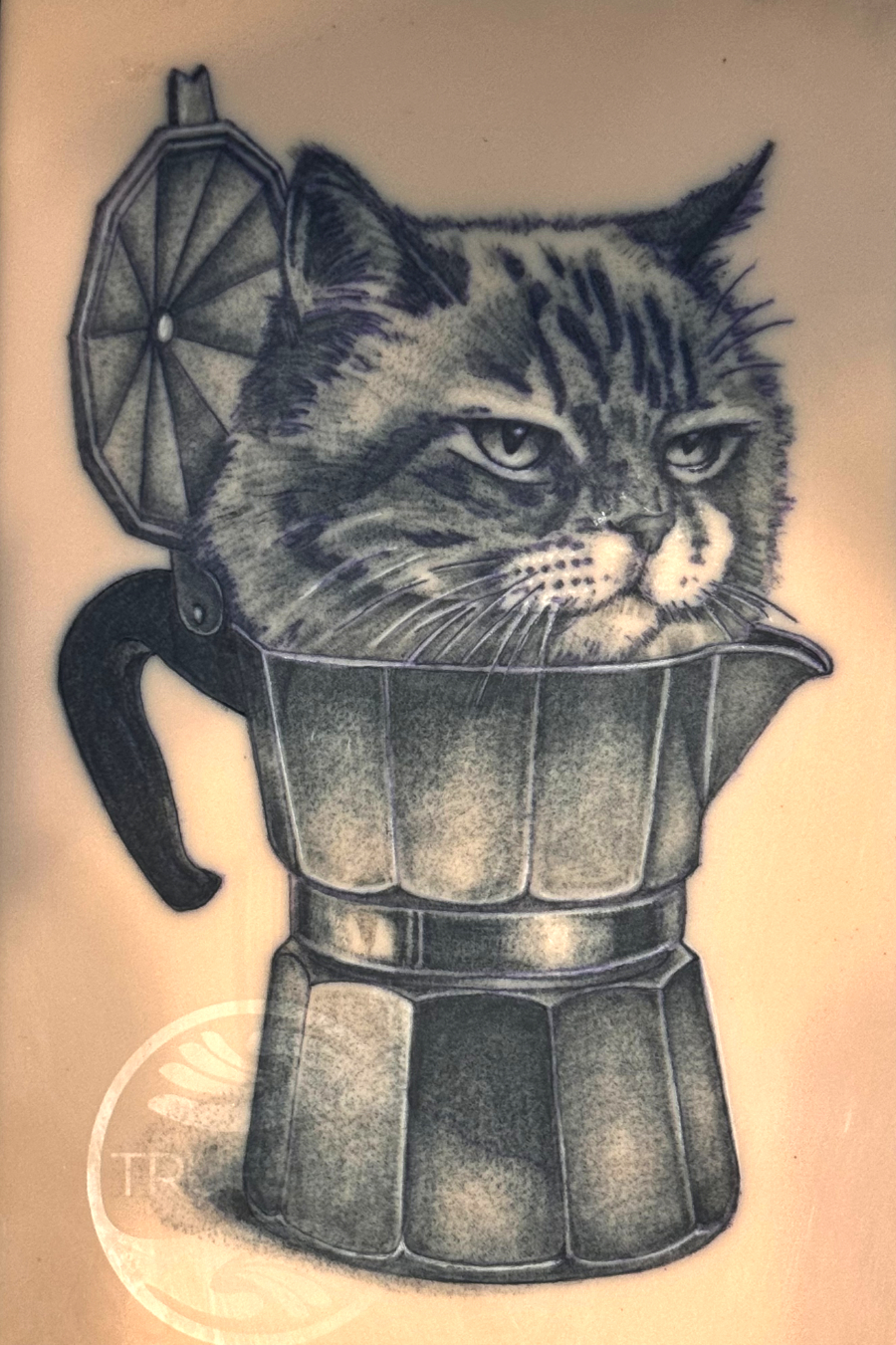 person in blue denim shorts and white nike sneakers standing on gray concrete floor