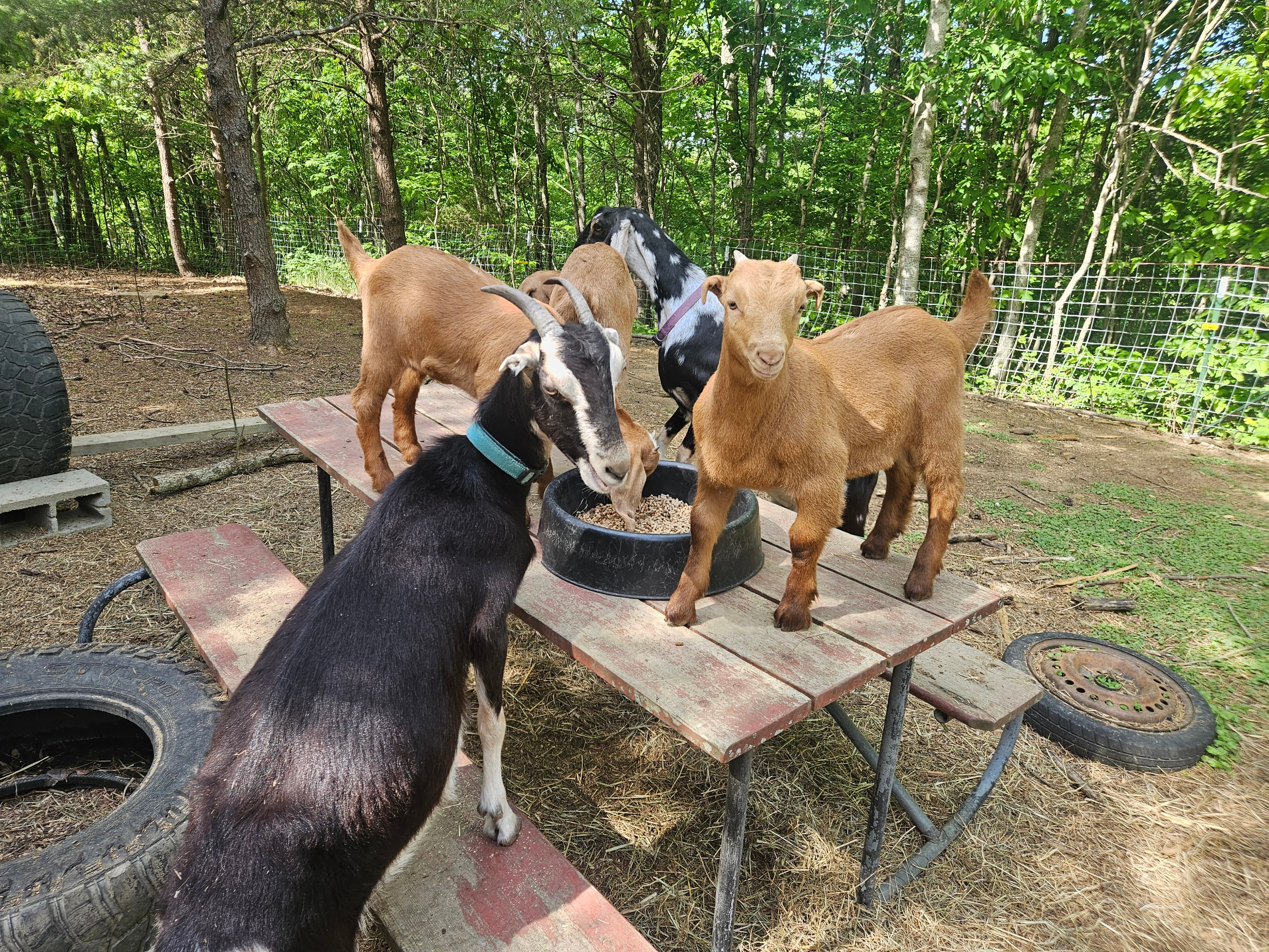 Finding the Right Networking Group — Hunt vs Harvest Part 3