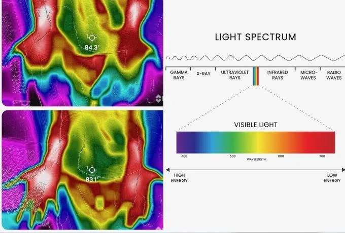 a 3d image of the human body and the structure of the body
