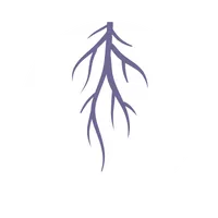 root causes of autoimmune disorders