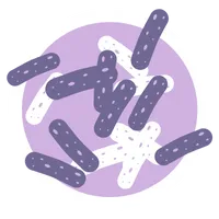 how to create a healthy internal environment within the body