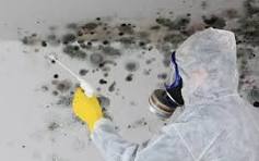 Stop Mold for Good