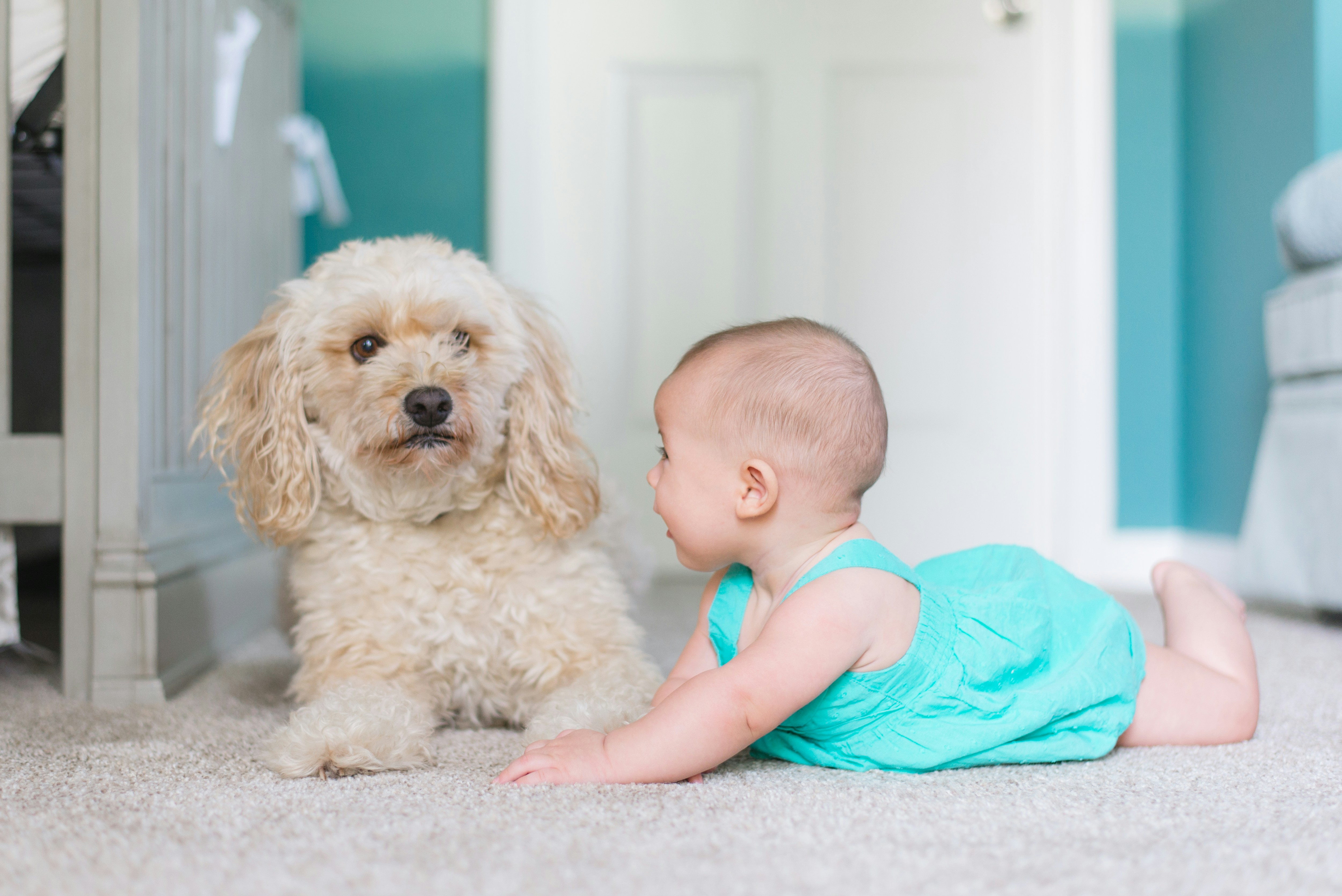 Getting Started Starts With a Dream — The Game Plan That Grows Carpet Cleaning Businesses From the Ground Up