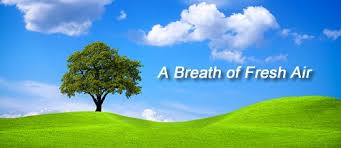 Is the Air in My Home Making Me Sick? How to Know for Sure
