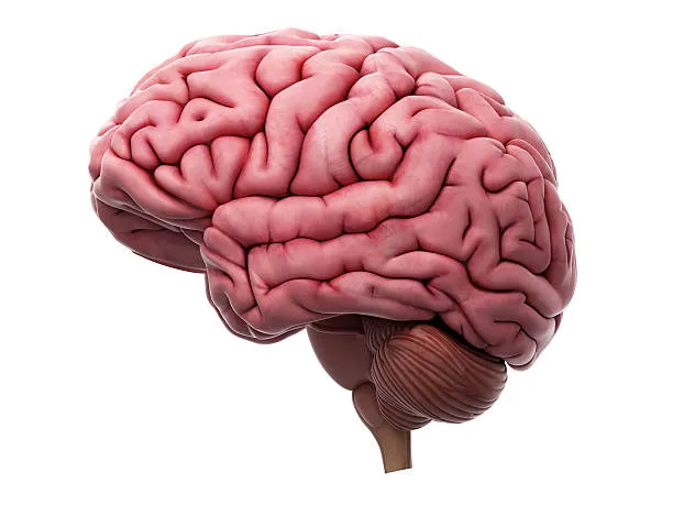 Change your Brain Change your Fortune