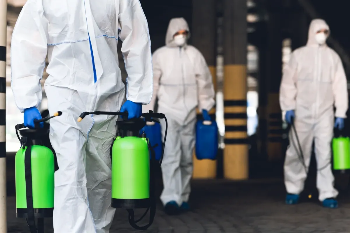 Mold Remediation