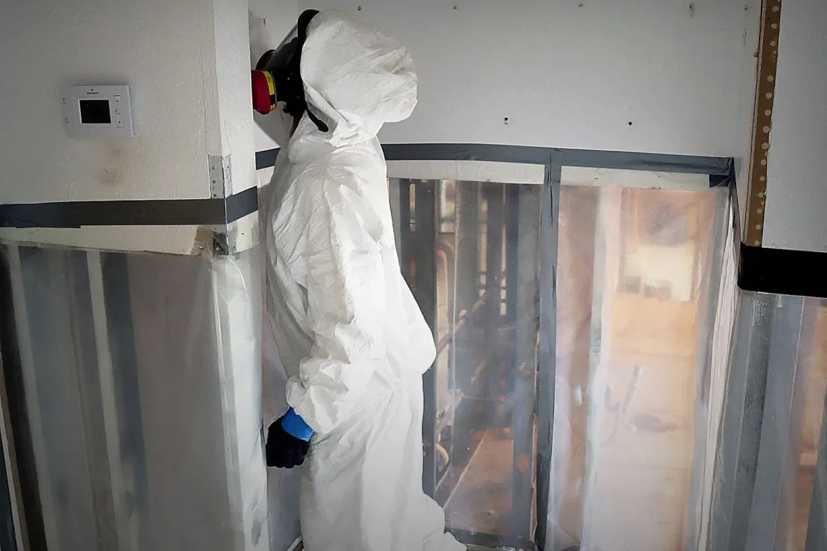 Mold Remediation