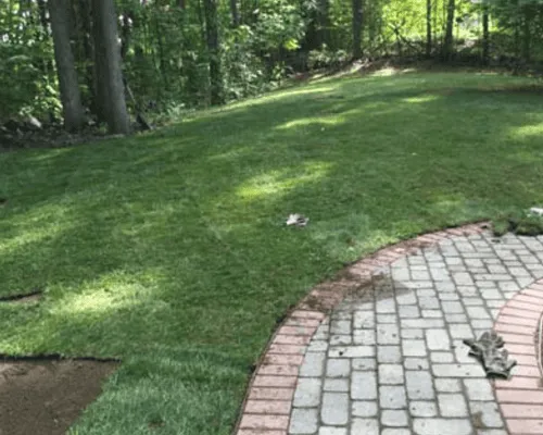 Lawn Fertilization Portsmouth