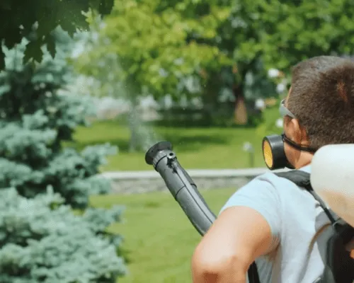 New Castle Weed Control