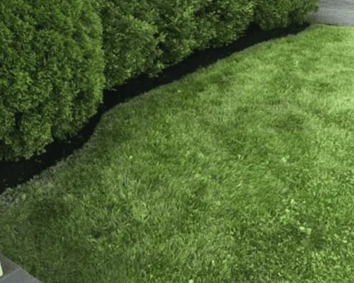 Aeration & Overseeding Portsmouth