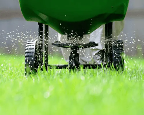 Mosquito & Tick Control Portsmouth