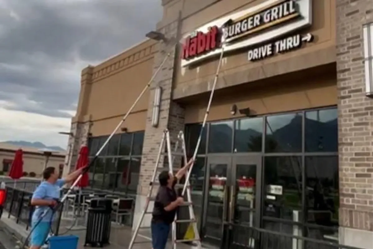 Cartoon coyote holding mop and vacuum cleaner.