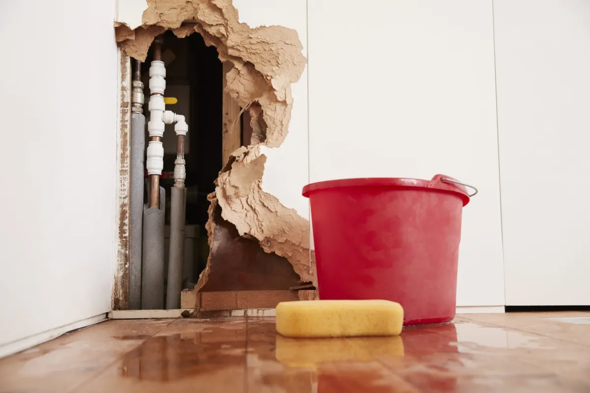 Damage Restoration