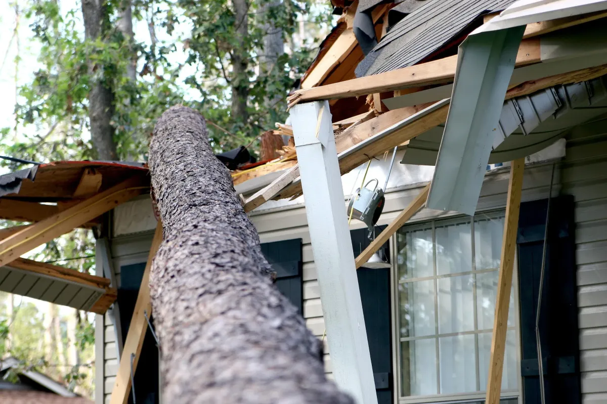Damage Restoration