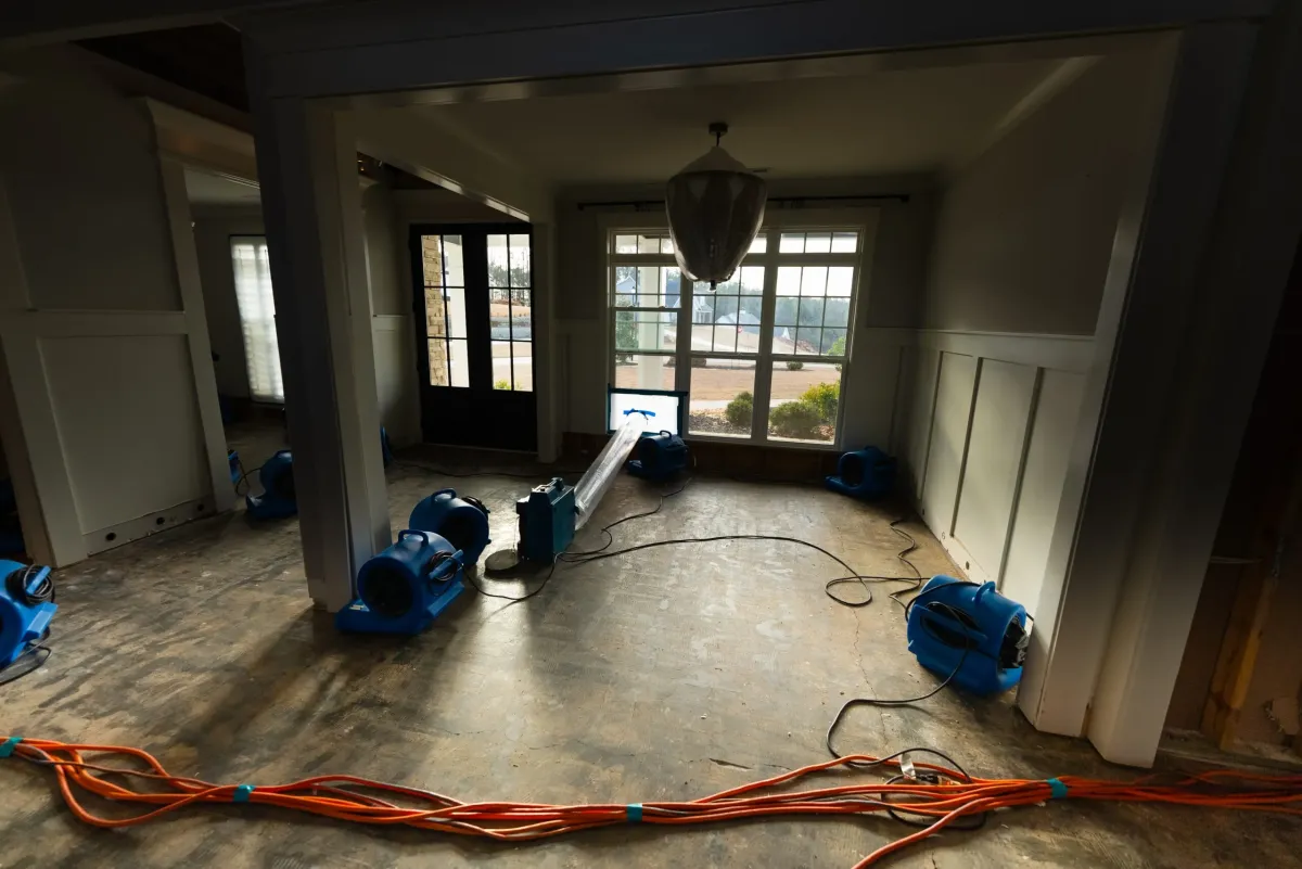 Damage Restoration