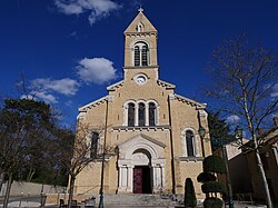 Danielle ALLARD - Conseillère dans le domaine du bien-être - Tassin La demi Lune
