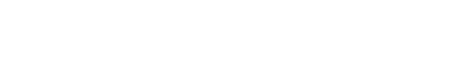 answerica.ai Logo