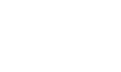 paypal icon